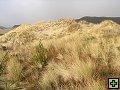 thn_Steward Island 020.jpg